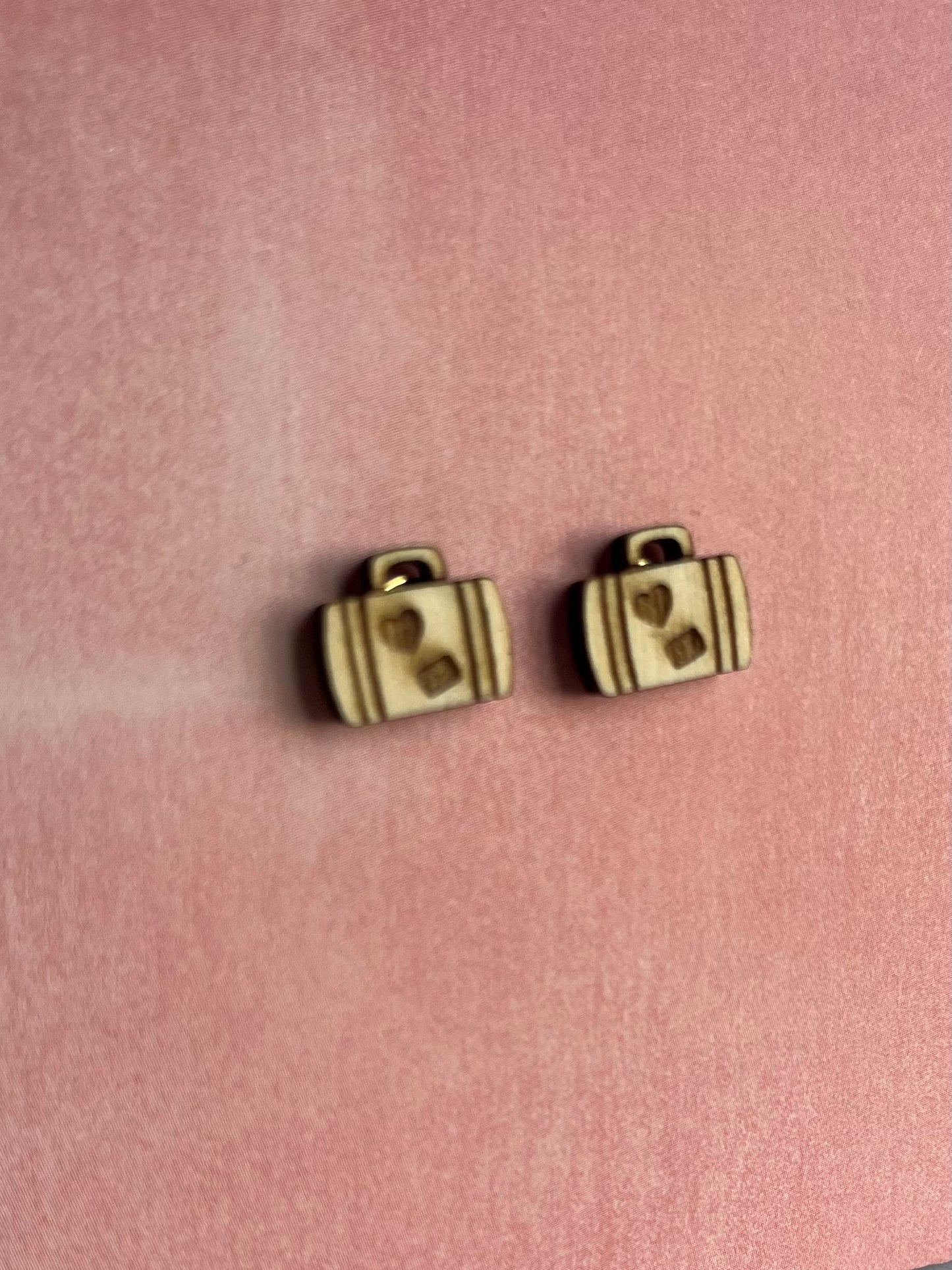 Lot de 4 puces d’oreilles