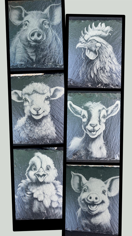 Collection à la ferme